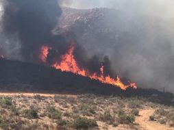 Los incendios en el estado están entre el 60 y 70% controlados. TWITTER@CONAFOR