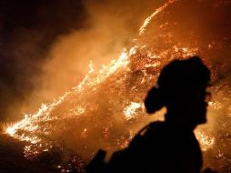 El gobernador de California, Gavin Newsom, declaró este domingo una emergencia en todo el estado. GETTY IMAGES