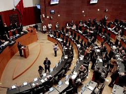 La senadora Martha Lucía Mícher Camarena, de Morena, fue quien puso sobre la mesa esta posibilidad, la cual fue aprobada. NTX/ARCHIVO