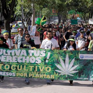 No descartamos legalizar drogas naturales: AMLO