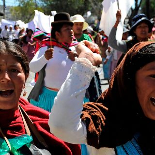 La OEA efectuará auditoría electoral en Bolivia