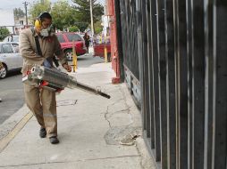 Villanueva explicó que, como cada año, se coordinaron con la Secretaría de Salud en el tema de las fumigaciones. EL INFORMADOR / ARCHIVO