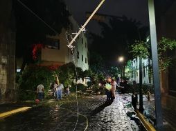 Un árbol cayó en el cruce de las calles Belén e Independencia, en el Centro de Guadalajara. EL INFORMADOR