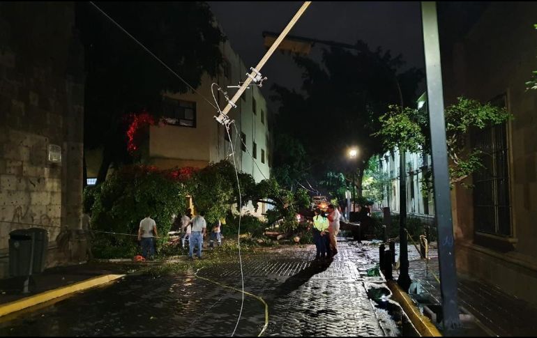 Un árbol cayó en el cruce de las calles Belén e Independencia, en el Centro de Guadalajara. EL INFORMADOR