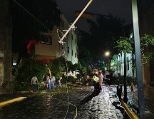Un árbol cayó en el cruce de las calles Belén e Independencia, en el Centro de Guadalajara. EL INFORMADOR