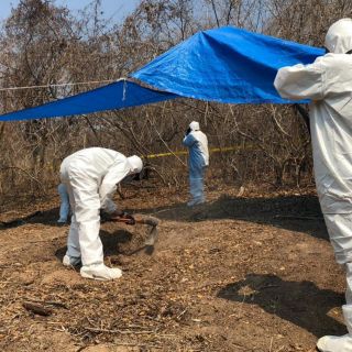 Suman 15 cadáveres encontrados en Lagos de Moreno