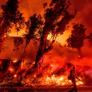 Incendio "María" en California arrasa tres mil 600 hectáreas