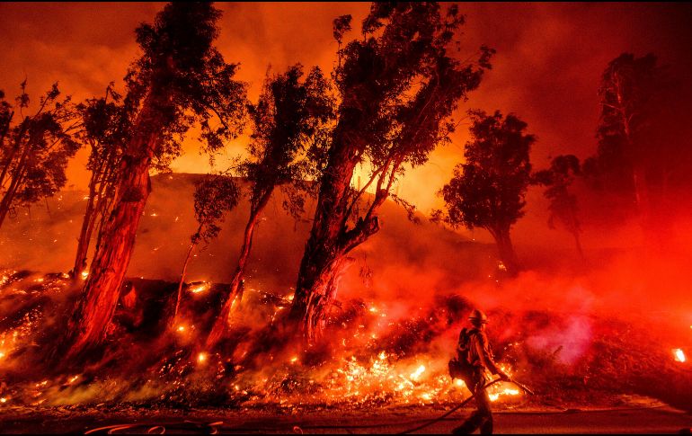 Bomberos combaten el incendio 
