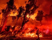Bomberos combaten el incendio 