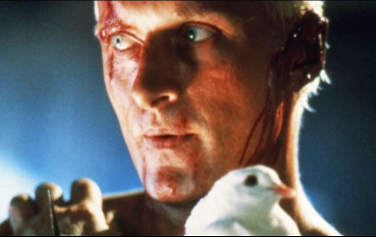 Rutger Hauer interpretó al replicante Roy Batty en Blade Runner . GETTY