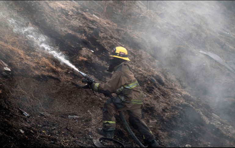 Incendios registrados desde la semana pasada en Baja California han afectado unas 10 mil 780 hectáreas. AFP/ARCHIVO