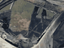 La comunidad americana está en shock y triste con la noticia del asesinato de adultos y niños pertenecientes a la familia México-estadounidenses. TWITTER/ @AlexLebaron1