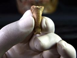 Las garras de águila son los elementos ornamentales más antiguos que se conocen en Europa. ANTONIO RODRÍGUEZ-HIDALGO