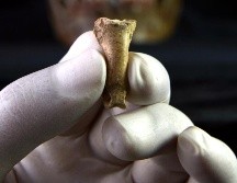 Las garras de águila son los elementos ornamentales más antiguos que se conocen en Europa. ANTONIO RODRÍGUEZ-HIDALGO