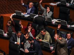 Se tiene previsto que este jueves se discuta en el pleno del Senado el dictamen sobre la creación del Insabi. NTX/Q. Blanco