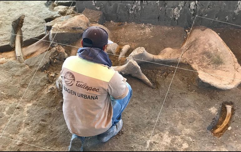 Trabajadores de San Antonio Xahuento, Tultepec, descubrieron la primera trampa para mamuts en el mundo en un ejido municipal. SUN