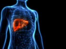 El hígado es el órgano más grande del cuerpo humano. GETTY IMAGES