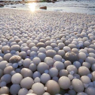 A qué se debe el extraño fenómeno de los "huevos de hielo" que cubrieron una playa en Finlandia