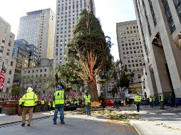 El gigantesco abeto será decorado con más de 50 mil luces de colores, y permanecerá en el lugar hasta el 14 de enero. AP/ D. Bondareff-Tishman Speyer