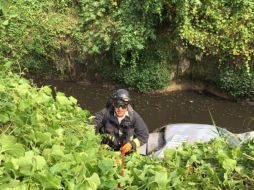Los bomberos procedieron a colocar una escalera y descendieron con sogas. ESPECIAL / Bomberos de Zapopan