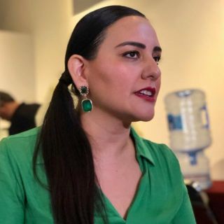 Ciudadanos podrán hacer observaciones a las iniciativas de diputados