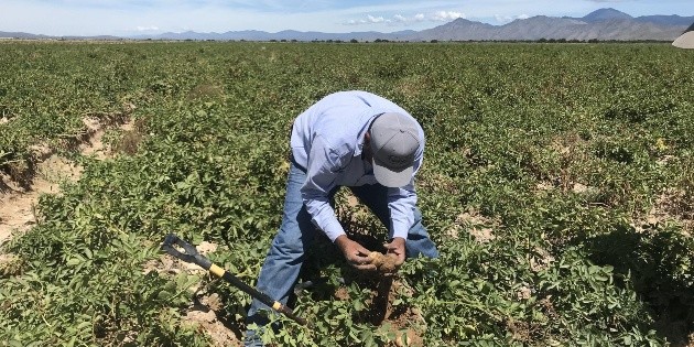 M&eacute;xico registra 159 mil 998 nuevos empleos en octubre