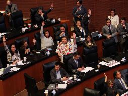 Las bancadas opositoras denunciaron que hubo fraude en la elección de Rosario Piedra. NTX/G. Granados