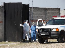 La finca fue localizada el pasado 7 de noviembre gracias a acciones de la Guardia Nacional. EFE / ARCHIVO