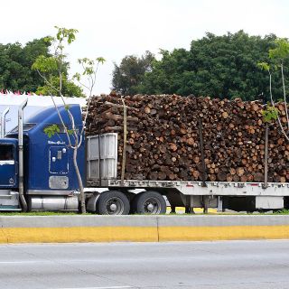 Advierten de alzas a precios y amparos si avalan cuota al transporte