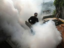 La semana pasada, la Secretaría de Salud Jalisco aseguró que la incidencia de casos de dengue ya iba a la baja. EL INFORMADOR / ARCHIVO