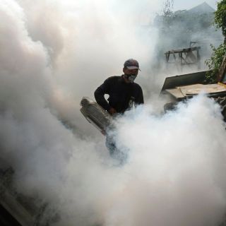 Sin freno el dengue en Jalisco; suman otros 586 casos