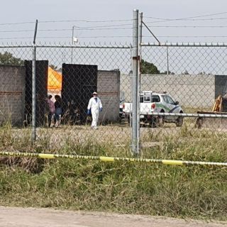 Suman ya 22 cuerpos de fosas en finca en El Zapote