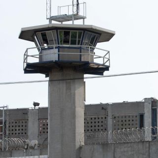 Por primera vez en la CDMX envían a prisión a acusado de maltrato animal