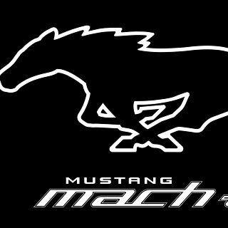 Ford añade un nuevo integrante en la familia Mustang, pero no es lo que imaginas