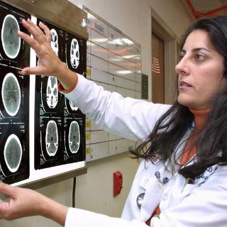 Hipo, clave para el desarrollo cerebral