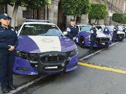 El equipo estará integrado, en su mayoría, por mujeres policías y personas especializado en el tema. EL UNIVERSAL