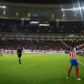 Termina la sequía de monarcas mexicanos