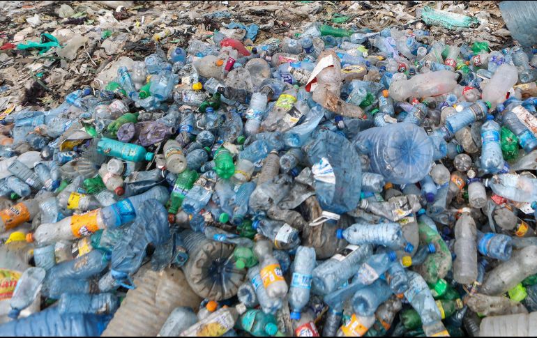 El reciclaje de los envases genera un importante impacto ambiental, ya que retira del entorno alrededor de 80 mil toneladas de botellas. EFE / ARCHIVO