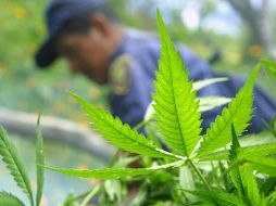 El martes, el presidente estadunidense Donald Trump anunció que clasificará a los grupos del narcotráfico que operan en México como terroristas. La medida fue rechazada por la Cancillería mexicana. EL INFORMADOR / ARCHIVO