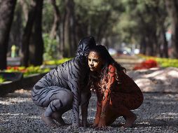 Anteriormente otro paquidermo fue sacrificado por su mal estado. NOTIMEX