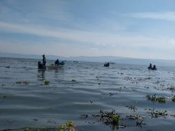 El miércoles, elementos de Protección Civil de Tizapán, Chapala y Poncitlán comenzaron a buscarlo junto con 25 lanchas de pescadores y una embarcación de la UEPCJ. No obstante, no lograron localizarlo. ESPECIAL/