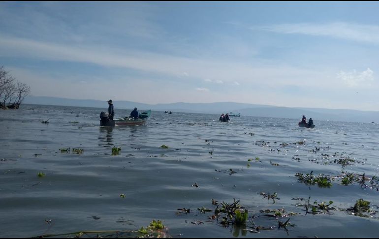 El miércoles, elementos de Protección Civil de Tizapán, Chapala y Poncitlán comenzaron a buscarlo junto con 25 lanchas de pescadores y una embarcación de la UEPCJ. No obstante, no lograron localizarlo. ESPECIAL/