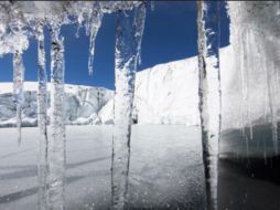 Los incendios en la Amazonia 