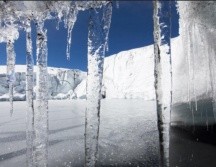 Los incendios en la Amazonia 