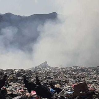 Reportan sólo tres sentencias por delitos ambientales en una década