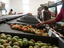 De acuerdo con fuentes que pidieron el anonimato, esto significa que EU podrá seguir bloqueando la conformación de paneles de controversia en cualquier momento, menos para el tema laboral. NTX / ARCHIVO