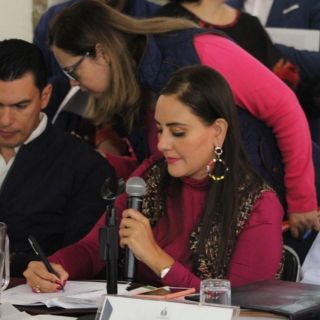 Diputados acuerdan mesas sobre reforma para prohibir terapias de conversión