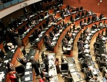 La iniciativa está siendo discutida en la Cámara de Senadores. NTX / J. Lira