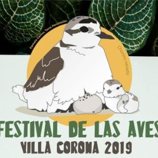 Con festival, buscan concientizar sobre sitio Ramsar