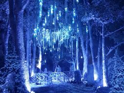 “Navidalia”. Una vista del Mundo Nórdico. EL INFORMADOR/R. Romero